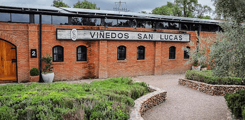 Cata y tour en Viñedo San Lucas